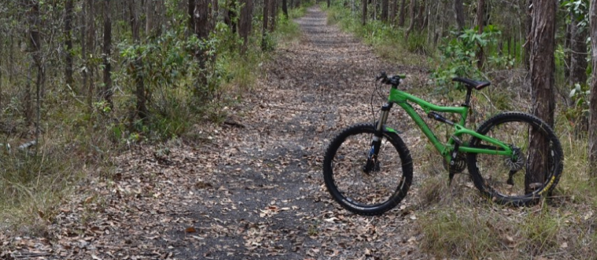 bike on path in the bush